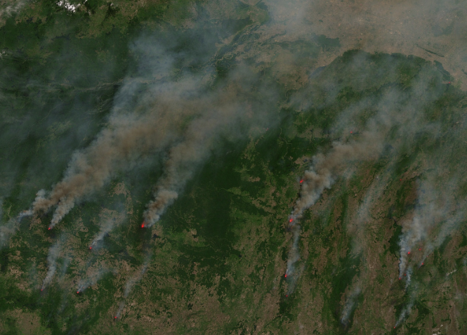 Hidden Underground Fires Lurk Beneath the Amazon Rainforest