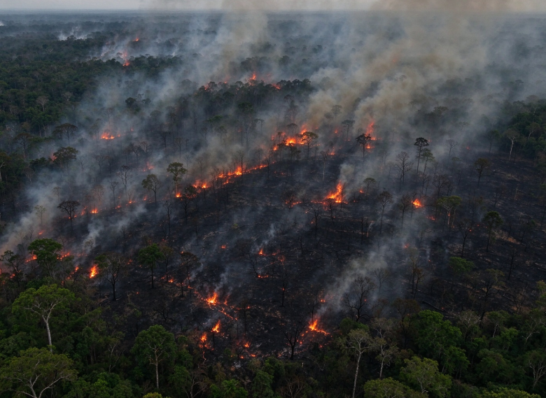 Amazon Fires Set to Spread Northward